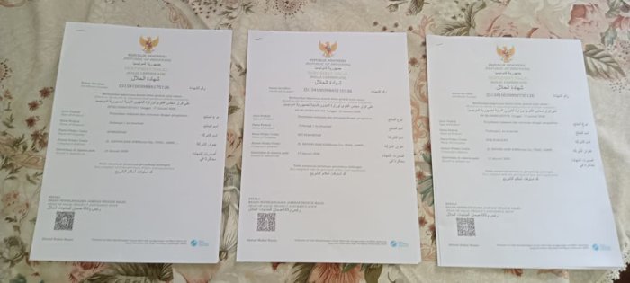 Kantin Sehat MIN 1 Tebo Resmi  Peroleh Tiga Sertifikat Produk Halal