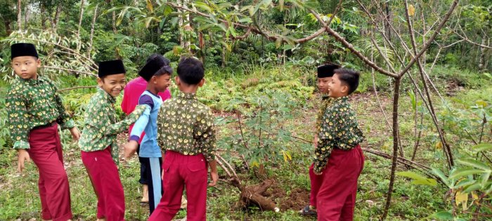 Keluarga Besar MIN 1 Tebo Ukir Kebersamaan Panen Hasil Kebun di Area Madrasah Keluarga Besar MIN 1 Tebo Ukir Kebersamaan Panen Hasil Kebun di Area Madrasah