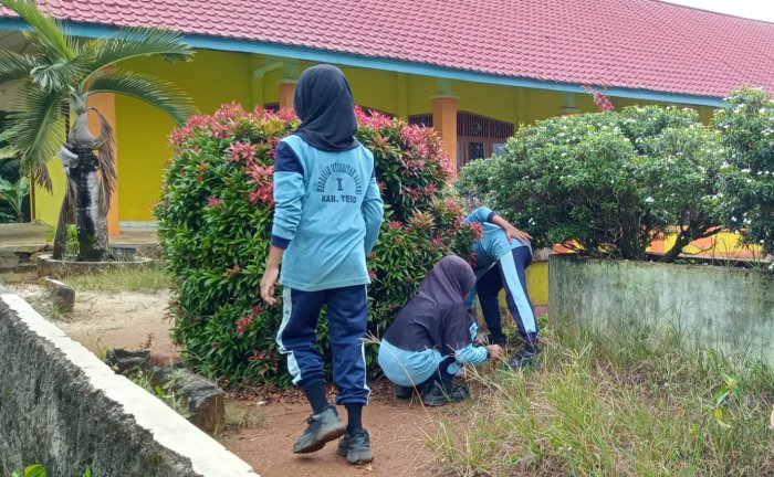 Lingkungan Bersih di MIN 1 Tebo Dukung Kenyamanan Belajar