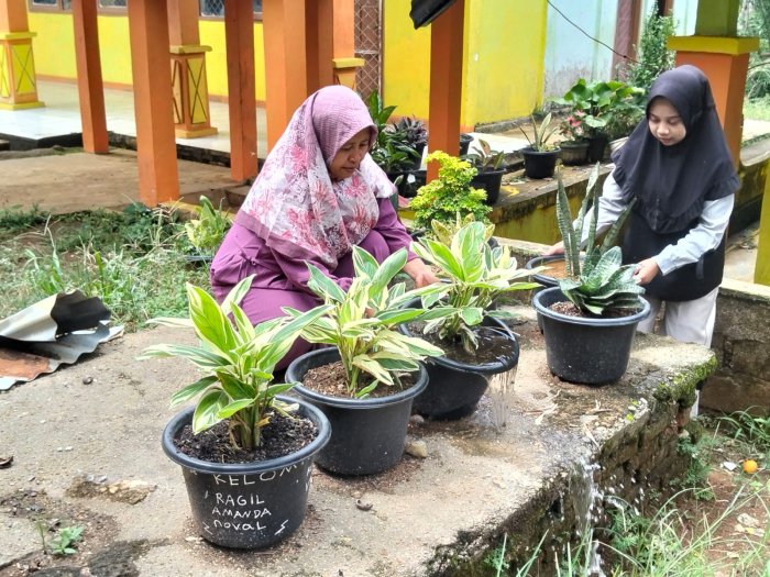 Guru MIN 1 Tebo Rawat Tanaman Bunga di Madrasah Sambut Semester Genap 2026