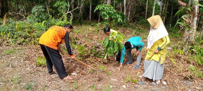 Dewan Guru MIN 1 Tebo Rutin Pantau dan Rawat Tanaman Buah di Area Madrasah