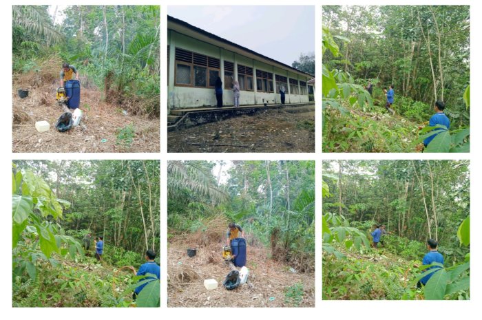 Dewan Guru MIN  1 Tebo Gelar Gotong Royong Bersama, Bersihkan Area Belakang Madrasah
