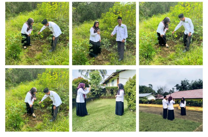 Kepala MIN 1 Tebo Dampingi Salah Satu Guru PNS di MIN 1 Tebo Dalam Kegiatan Penanaman Bibit Pohon di Madrasah