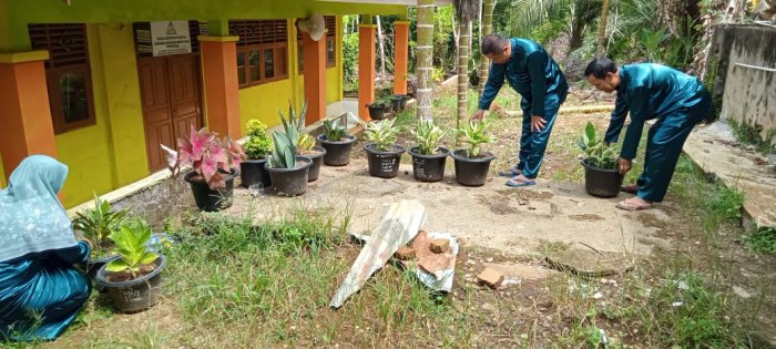 Dewan Guru MIN 1 Tebo Rutin Adakan Perawatan Bunga di Lingkungan Madrasah